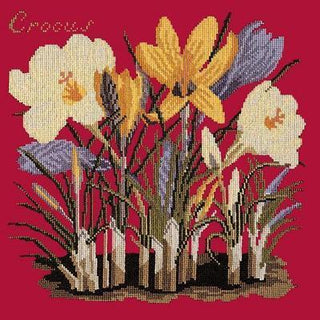 Crocus Needlepoint Kit Kits Elizabeth Bradley Design Bright Red 
