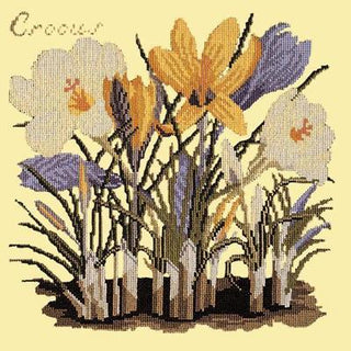 Crocus Needlepoint Kit Kits Elizabeth Bradley Design Butter Yellow 
