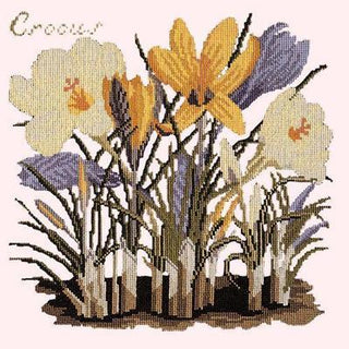 Crocus Needlepoint Kit Kits Elizabeth Bradley Design Cream 
