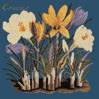 Crocus Needlepoint Kit Kits Elizabeth Bradley Design Dark Blue 
