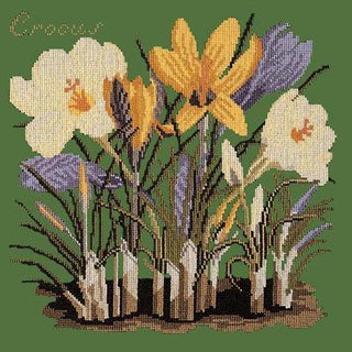 Crocus Needlepoint Kit Kits Elizabeth Bradley Design Dark Green 
