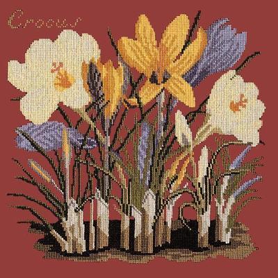 Crocus Needlepoint Kit Kits Elizabeth Bradley Design Dark Red 
