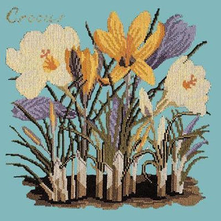 Crocus Needlepoint Kit Kits Elizabeth Bradley Design Duck Egg Blue 
