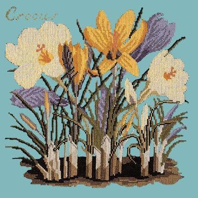 Crocus Needlepoint Kit Kits Elizabeth Bradley Design Duck Egg Blue 

