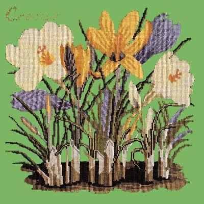 Crocus Needlepoint Kit Kits Elizabeth Bradley Design Grass Green 