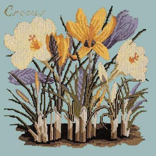 Crocus Needlepoint Kit Kits Elizabeth Bradley Design Pale Blue 
