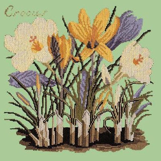 Crocus Needlepoint Kit Kits Elizabeth Bradley Design Pale Green 

