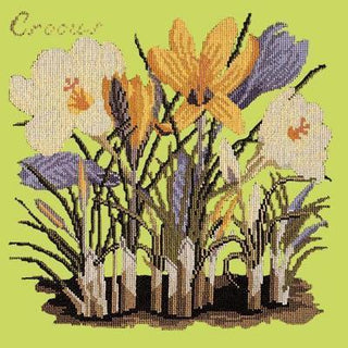 Crocus Needlepoint Kit Kits Elizabeth Bradley Design Pale Lime 
