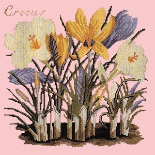 Crocus Needlepoint Kit Kits Elizabeth Bradley Design Pale Rose 
