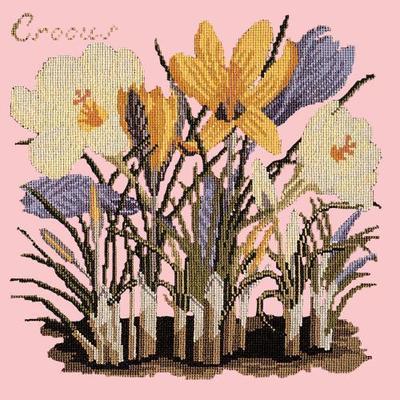 Crocus Needlepoint Kit Kits Elizabeth Bradley Design Pale Rose 
