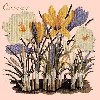 Crocus Needlepoint Kit Kits Elizabeth Bradley Design Salmon Pink 
