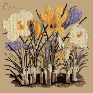 Crocus Needlepoint Kit Kits Elizabeth Bradley Design Sand 
