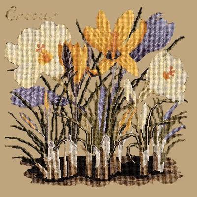 Crocus Needlepoint Kit Kits Elizabeth Bradley Design Sand 
