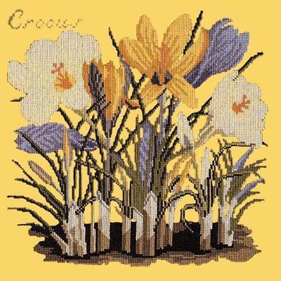 Crocus Needlepoint Kit Kits Elizabeth Bradley Design Sunflower Yellow 
