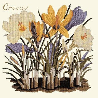 Crocus Needlepoint Kit Kits Elizabeth Bradley Design Winter White 
