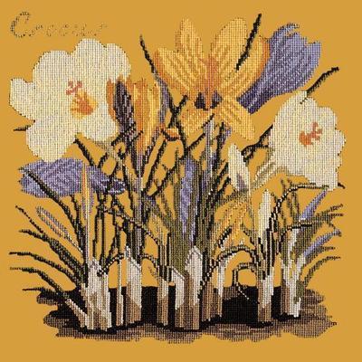 Crocus Needlepoint Kit Kits Elizabeth Bradley Design Yellow 