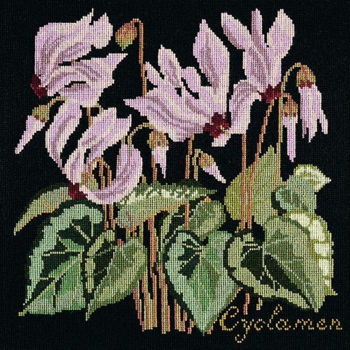 Cyclamen Needlepoint Kit Kits Elizabeth Bradley Design Black 