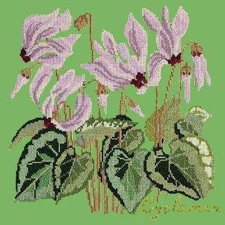 Cyclamen Needlepoint Kit Kits Elizabeth Bradley Design Grass Green 
