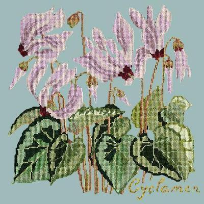 Cyclamen Needlepoint Kit Kits Elizabeth Bradley Design Pale Blue 