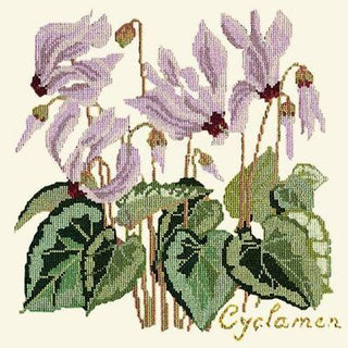 Cyclamen Needlepoint Kit Kits Elizabeth Bradley Design Winter White 
