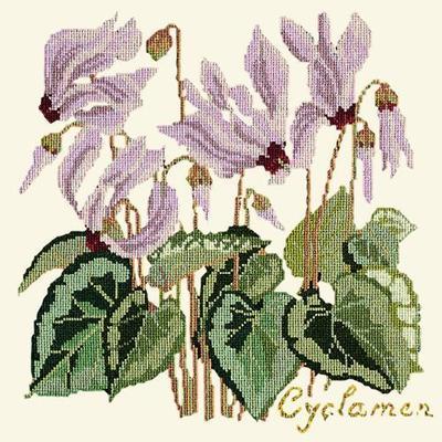 Cyclamen Needlepoint Kit Kits Elizabeth Bradley Design Winter White 
