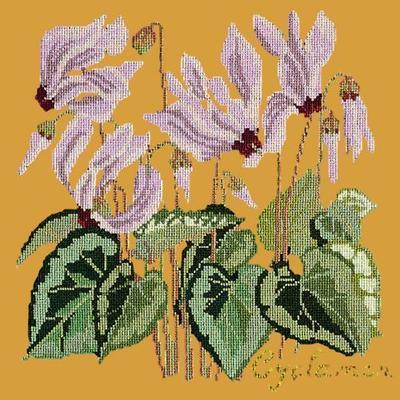 Cyclamen Needlepoint Kit Kits Elizabeth Bradley Design Yellow 