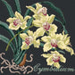 Cymbidium Needlepoint Kit Kits Elizabeth Bradley Design Black 