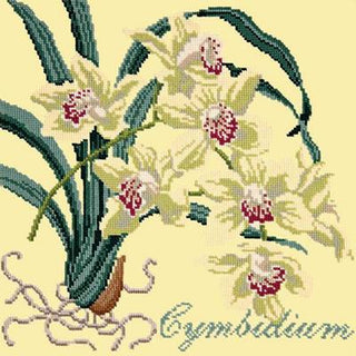 Cymbidium Needlepoint Kit Kits Elizabeth Bradley Design Butter Yellow 

