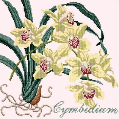 Cymbidium Needlepoint Kit Kits Elizabeth Bradley Design Cream 