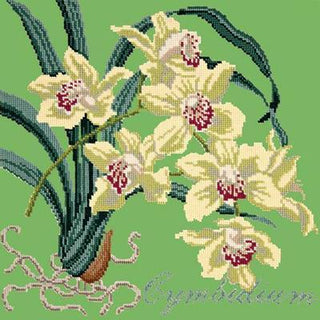 Cymbidium Needlepoint Kit Kits Elizabeth Bradley Design Grass Green 
