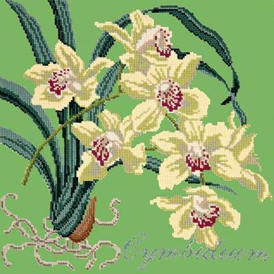 Cymbidium Needlepoint Kit Kits Elizabeth Bradley Design Grass Green 
