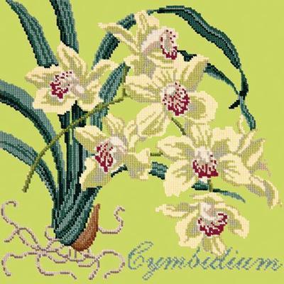 Cymbidium Needlepoint Kit Kits Elizabeth Bradley Design Pale Lime 