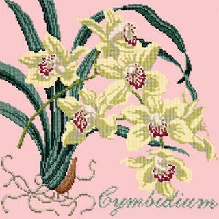 Cymbidium Needlepoint Kit Kits Elizabeth Bradley Design Pale Rose 
