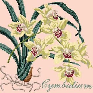 Cymbidium Needlepoint Kit Kits Elizabeth Bradley Design Salmon Pink 
