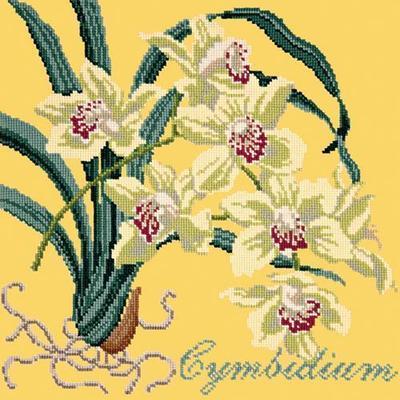 Cymbidium Needlepoint Kit Kits Elizabeth Bradley Design Sunflower Yellow 