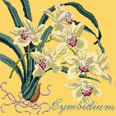 Cymbidium Needlepoint Kit Kits Elizabeth Bradley Design Sunflower Yellow 
