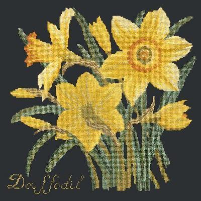 Daffodil Needlepoint Kit Kits Elizabeth Bradley Design Black 
