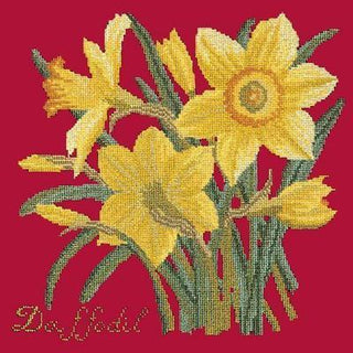 Daffodil Needlepoint Kit Kits Elizabeth Bradley Design Bright Red 
