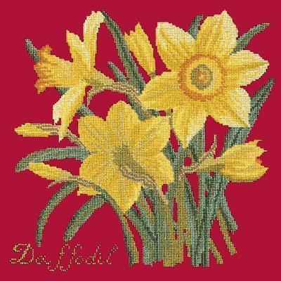 Daffodil Needlepoint Kit Kits Elizabeth Bradley Design Bright Red 
