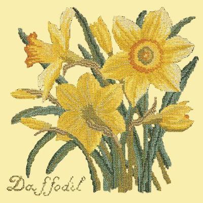 Daffodil Needlepoint Kit Kits Elizabeth Bradley Design Butter Yellow 
