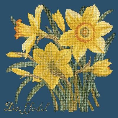 Daffodil Needlepoint Kit Kits Elizabeth Bradley Design Dark Blue 
