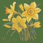Daffodil Needlepoint Kit Kits Elizabeth Bradley Design Dark Green 