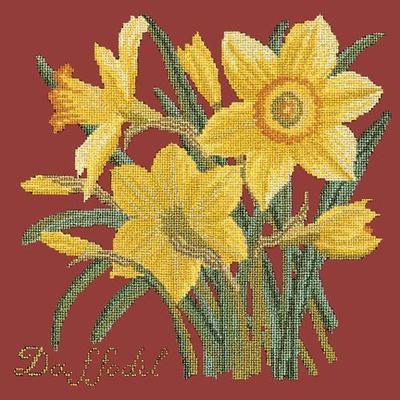Daffodil Needlepoint Kit Kits Elizabeth Bradley Design Dark Red 