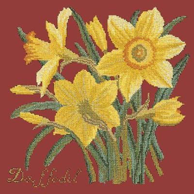 Daffodil Needlepoint Kit Kits Elizabeth Bradley Design Dark Red 
