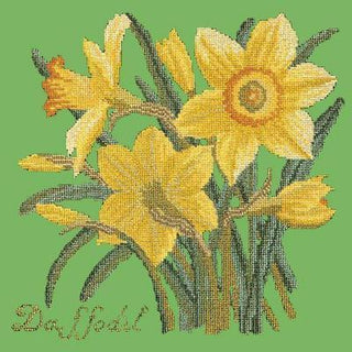 Daffodil Needlepoint Kit Kits Elizabeth Bradley Design Grass Green 
