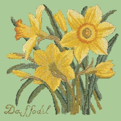 Daffodil Needlepoint Kit Kits Elizabeth Bradley Design Pale Green 