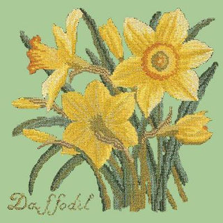 Daffodil Needlepoint Kit Kits Elizabeth Bradley Design Pale Green 
