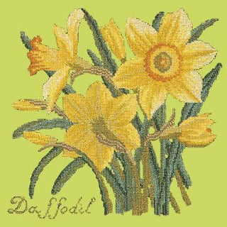 Daffodil Needlepoint Kit Kits Elizabeth Bradley Design Pale Lime 
