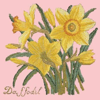 Daffodil Needlepoint Kit Kits Elizabeth Bradley Design Pale Rose 
