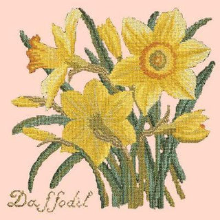 Daffodil Needlepoint Kit Kits Elizabeth Bradley Design Salmon Pink 
